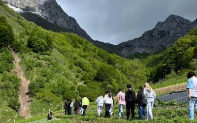 Clarins : dans le secret des Aravis, de la plante au produit de beauté