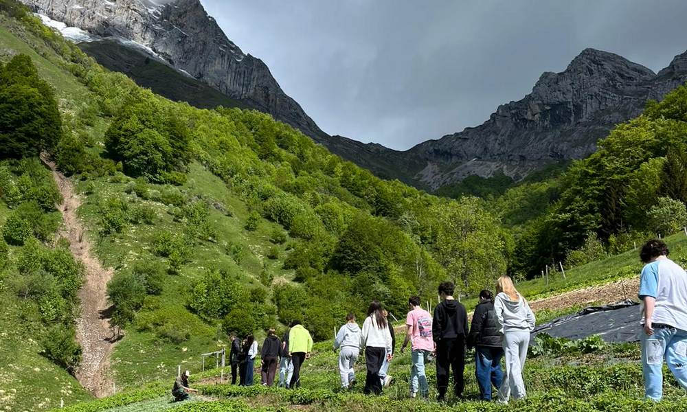 Clarins : dans le secret des Aravis, de la plante au produit de beauté